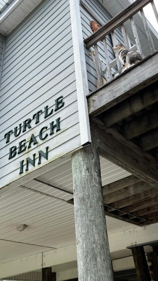 Turtle Beach Inn Indian Pass Eksteriør billede